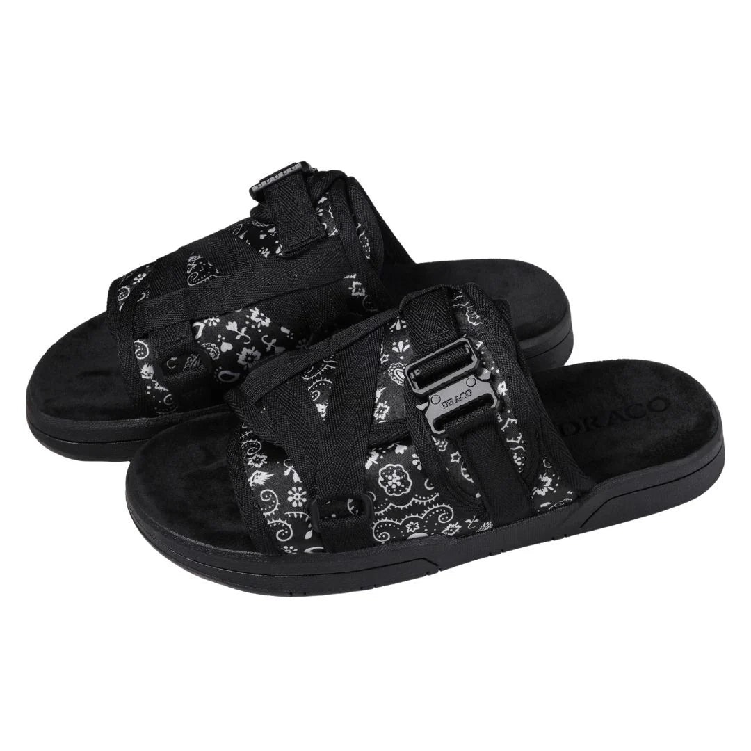 DRACO SLIDES
