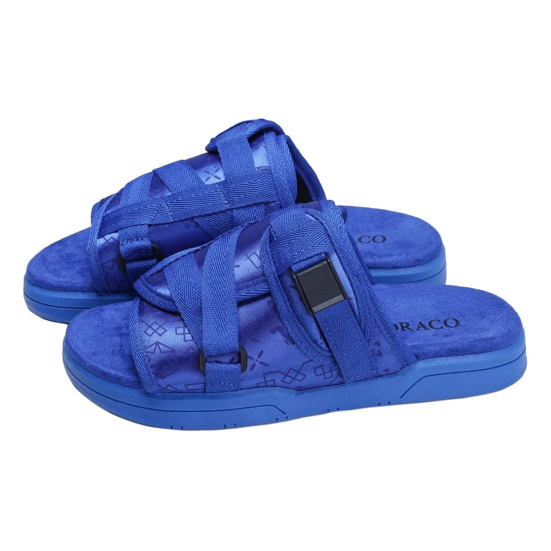 DRACO SLIDES